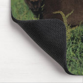 Miniatuurgewassen in gras muismat (Hoek)