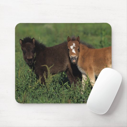 Miniatuurgewassen in gras muismat (Met muis)