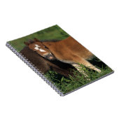 Miniatuurgewassen in gras notitieboek (Rechterzijde)