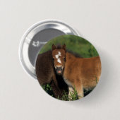 Miniatuurgewassen in gras ronde button 5,7 cm (Voorkant /achterkant)