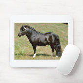 miniatuurhengst van pony muismat (Met muis)