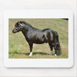miniatuurhengst van pony muismat