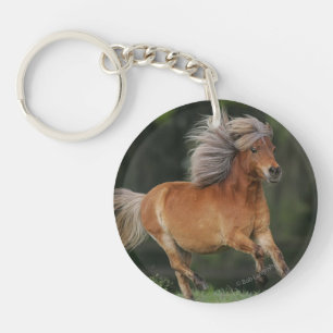 Miniatuurpaard loopt sleutelhanger