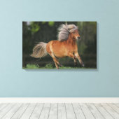 Miniatuurpaarden aan het draaien canvas afdruk (Insitu (Houten vloer))