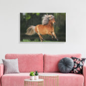 Miniatuurpaarden aan het draaien canvas afdruk (Insitu (Woonkamer))