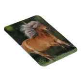 Miniatuurpaarden aan het draaien magneet (Rechterzijde)