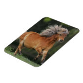 Miniatuurpaarden aan het draaien magneet (Linkerzijde)