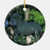 Miniatuurpaarden die in de bomen staan keramisch ornament (Achterkant)