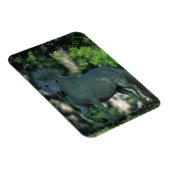 Miniatuurpaarden die in de bomen staan magneet (Rechterzijde)