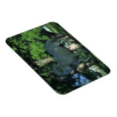 Miniatuurpaarden die in de bomen staan magneet (Rechterzijde)