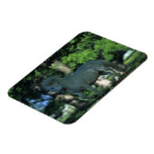 Miniatuurpaarden die in de bomen staan magneet (Linkerzijde)