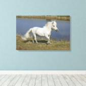 Miniatuurpaarden die in de buurt van water lopen canvas afdruk (Insitu (Houten vloer))