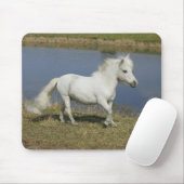 Miniatuurpaarden die in de buurt van water lopen muismat (Met muis)