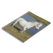 Miniatuurpaarden die in de buurt van water lopen notitieboek (Linkerzijde)