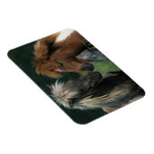 Miniatuurpaarden die magneet (Rechterzijde)