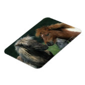 Miniatuurpaarden die magneet (Linkerzijde)