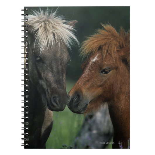 Miniatuurpaarden die notitieboek (Voorkant)