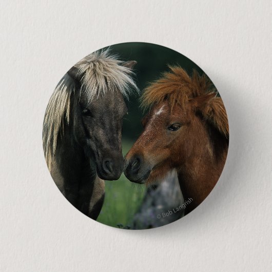 Miniatuurpaarden die ronde button 5,7 cm (Voorkant)