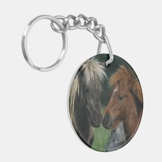 Miniatuurpaarden die sleutelhanger (Voorkant Links)