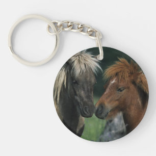 Miniatuurpaarden die sleutelhanger