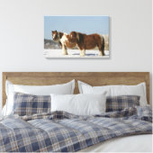 Miniatuurpaarden in de sneeuw canvas afdruk (Insitu (Slaapkamer))