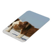 Miniatuurpaarden in de sneeuw magneet (Linkerzijde)