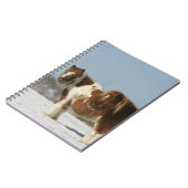 Miniatuurpaarden in de sneeuw notitieboek (Linkerzijde)