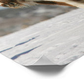 Miniatuurpaarden in de sneeuw poster (Hoek)