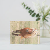miniatuurpaarden met een volle mane briefkaart (Staand voorkant)