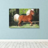 Miniatuurpaarden, stand canvas afdruk (Insitu (Houten vloer))