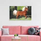 Miniatuurpaarden, stand canvas afdruk (Insitu (Woonkamer))