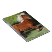 Miniatuurpaarden, stand notitieboek (Rechterzijde)