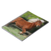 Miniatuurpaarden, stand notitieboek (Linkerzijde)