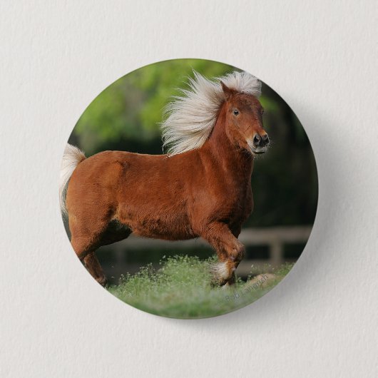 Miniatuurpaarden, stand ronde button 5,7 cm (Voorkant)