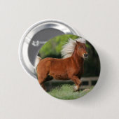 Miniatuurpaarden, stand ronde button 5,7 cm (Voorkant /achterkant)