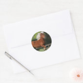 Miniatuurpaarden, stand ronde sticker (Envelop)