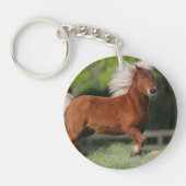 Miniatuurpaarden, stand sleutelhanger (Voorkant)