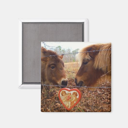 Miniatuurpaarden Valentijn Red Heart Magneet (Voorkant / Achterkant)