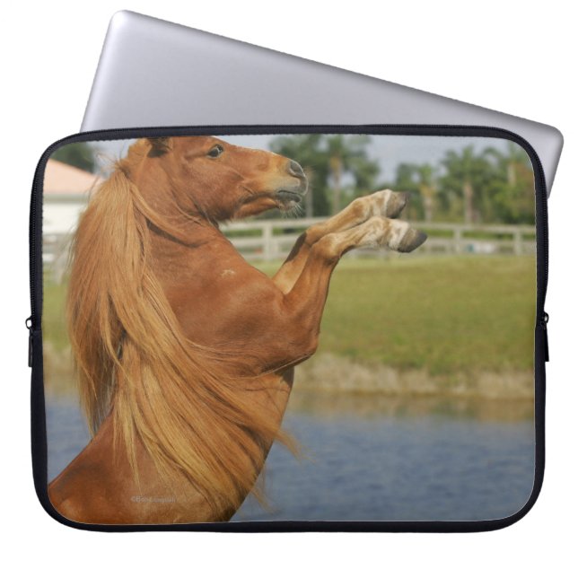 Miniatuurpaardenfokkerij Laptop Sleeve (Voorkant)