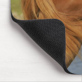 Miniatuurpaardenfokkerij Muismat (Hoek)