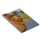 Miniatuurpaardenfokkerij Notitieboek (Rechterzijde)