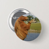 Miniatuurpaardenfokkerij Ronde Button 5,7 Cm (Voorkant /achterkant)