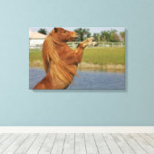 Miniatuurpaardenhouderij Canvas Afdruk (Insitu (Houten vloer))