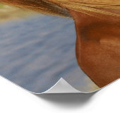 Miniatuurpaardenhouderij Poster (Hoek)