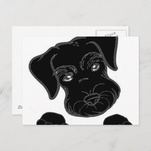 miniatuurschnauzer briefkaart (Voorkant / Achterkant)