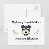 MiniatuurSchnauzer Briefkaart (Voorkant / Achterkant)