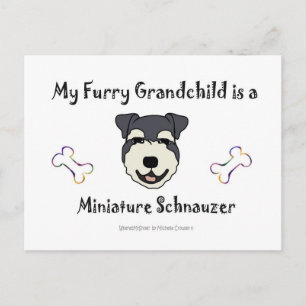 MiniatuurSchnauzer Briefkaart