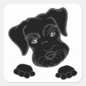 miniatuurschnauzer vierkante sticker (Voorkant)