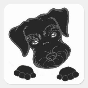 miniatuurschnauzer vierkante sticker