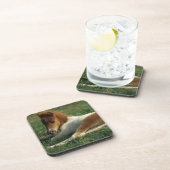 Miniatuurslachtafvallen Bier Onderzetter (Rechterzijde)